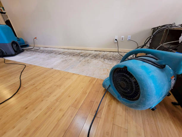 Professional Basement Flood Cleanup technician working in Lando, SC